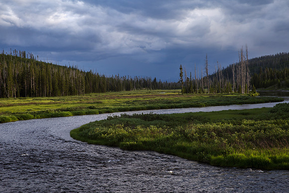 Meander