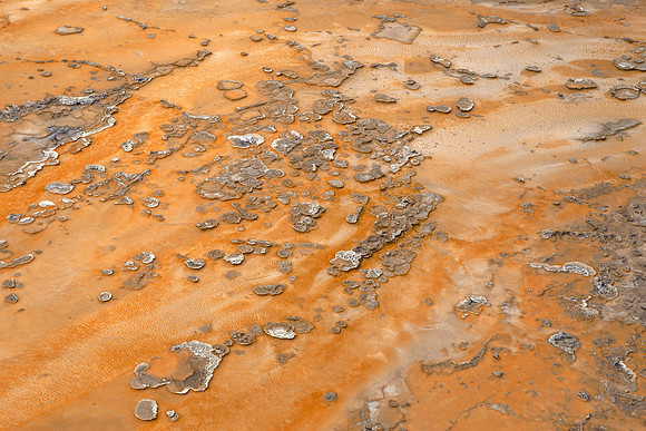 Thermophiles