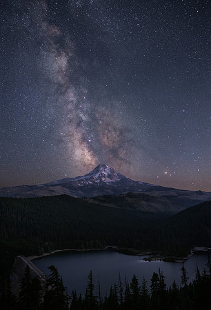 Lone Splendor